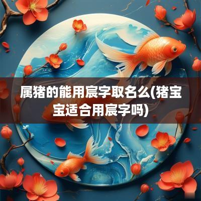 属猪的能用宸字取名么(猪宝宝适合用宸字吗)