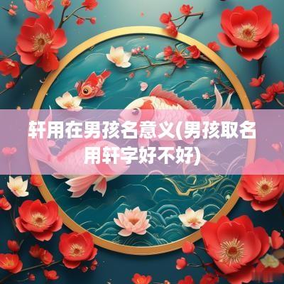 轩用在男孩名意义(男孩取名用轩字好不好)