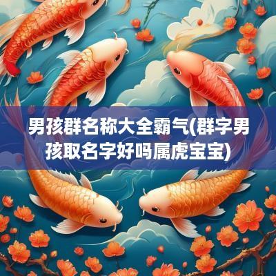 男孩群名称大全霸气(群字男孩取名字好吗属虎宝宝)