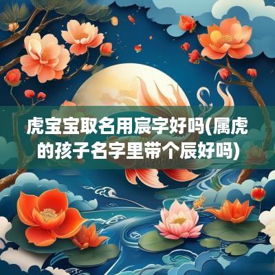 虎宝宝取名用宸字好吗(属虎的孩子名字里带个辰好吗)