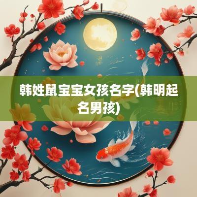 韩姓鼠宝宝女孩名字(韩明起名男孩)