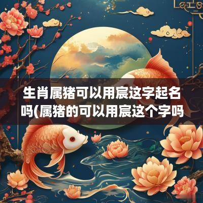 生肖属猪可以用宸这字起名吗(属猪的可以用宸这个字吗)