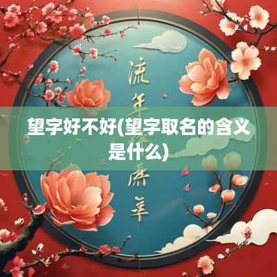 望字好不好(望字取名的含义是什么)