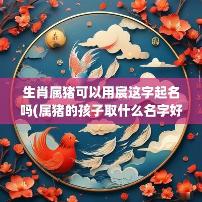 生肖属猪可以用宸这字起名吗(属猪的孩子取什么名字好)