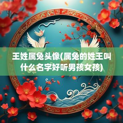 王姓属兔头像(属兔的姓王叫什么名字好听男孩女孩)