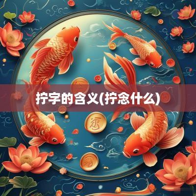 拧字的含义(拧念什么)