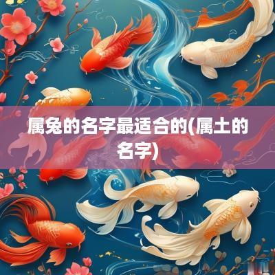 属兔的名字最适合的(属土的名字)