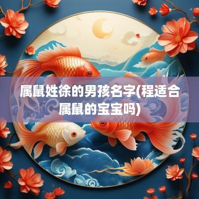 属鼠姓徐的男孩名字(程适合属鼠的宝宝吗)