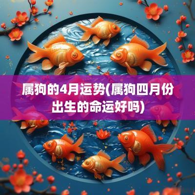 属狗的4月运势(属狗四月份出生的命运好吗)