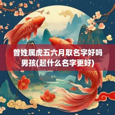 曾姓属虎五六月取名字好吗男孩(起什么名字更好)