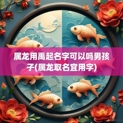 属龙用禹起名字可以吗男孩子(属龙取名宜用字)