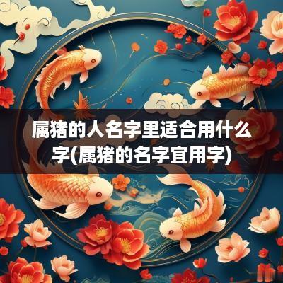 属猪的人名字里适合用什么字(属猪的名字宜用字)