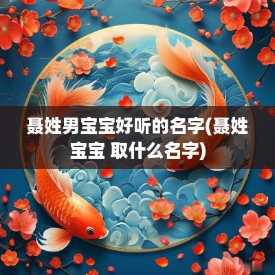 聂姓男宝宝好听的名字(聂姓宝宝 取什么名字)