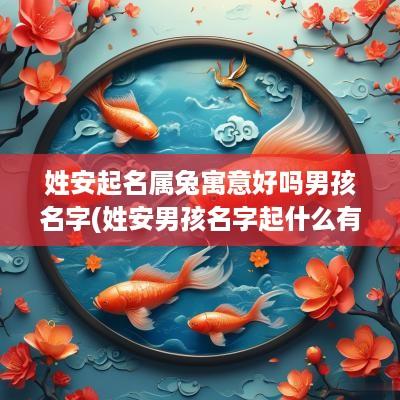 姓安起名属兔寓意好吗男孩名字(姓安男孩名字起什么有寓意)