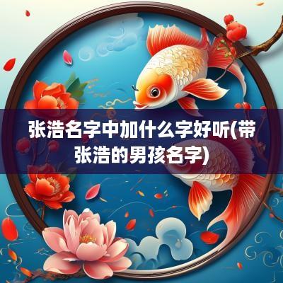 张浩名字中加什么字好听(带张浩的男孩名字)