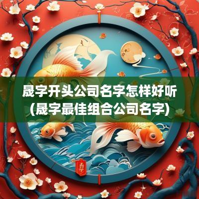 晟字开头公司名字怎样好听(晟字最佳组合公司名字)