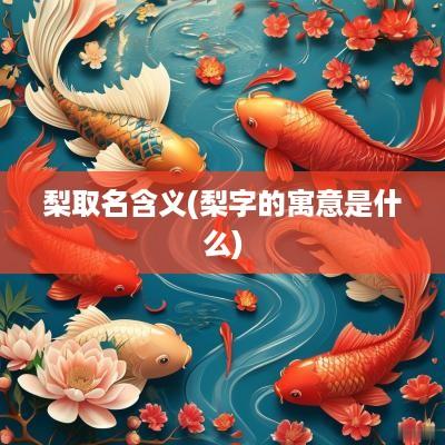 梨取名含义(梨字的寓意是什么)