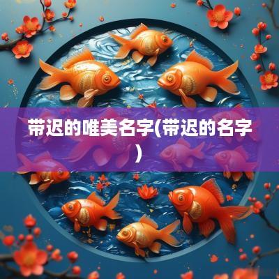 带迟的唯美名字(带迟的名字)