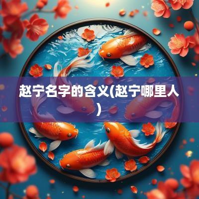 赵宁名字的含义(赵宁哪里人)