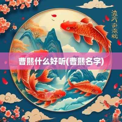 曹熙什么好听(曹熙名字)