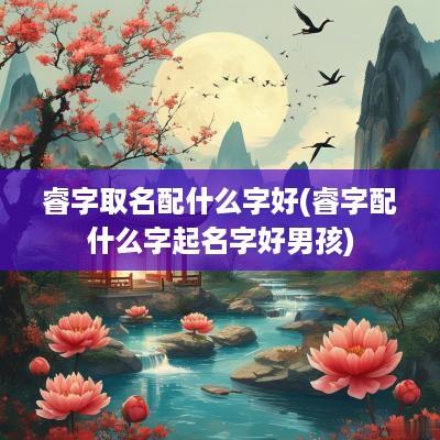 睿字取名配什么字好(睿字配什么字起名字好男孩)