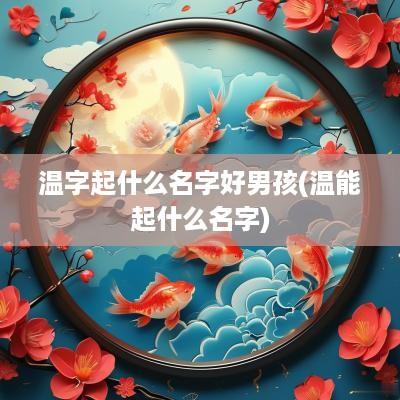 温字起什么名字好男孩(温能起什么名字)