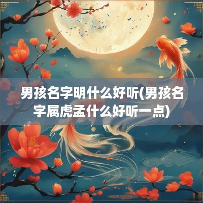 男孩名字明什么好听(男孩名字属虎孟什么好听一点)