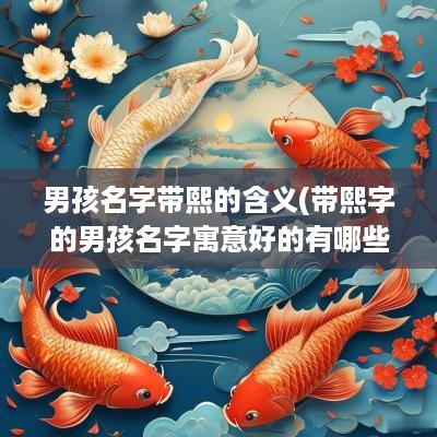 男孩名字带熙的含义(带熙字的男孩名字寓意好的有哪些)