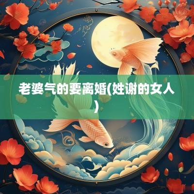 老婆气的要离婚(姓谢的女人)