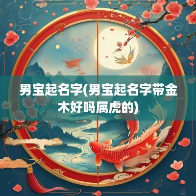 男宝起名字(男宝起名字带金木好吗属虎的)