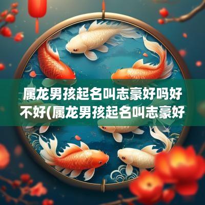 属龙男孩起名叫志豪好吗好不好(属龙男孩起名叫志豪好吗怎么样)