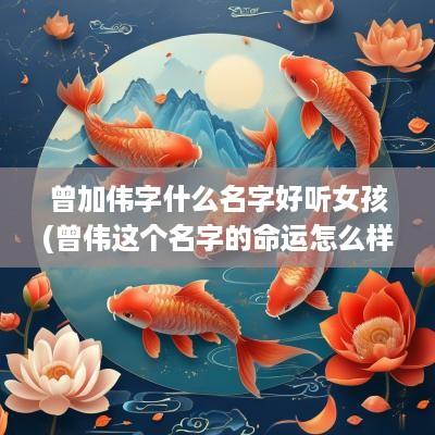 曾加伟字什么名字好听女孩(曾伟这个名字的命运怎么样)