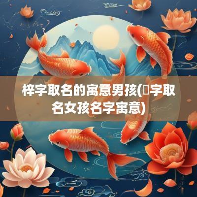 梓字取名的寓意男孩(晞字取名女孩名字寓意)