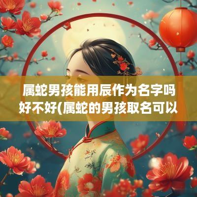 属蛇男孩能用辰作为名字吗好不好(属蛇的男孩取名可以用宸字吗)