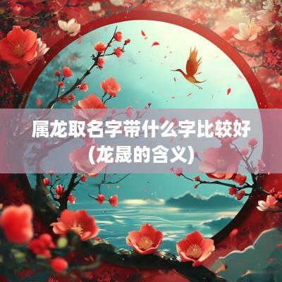 属龙取名字带什么字比较好(龙晟的含义)