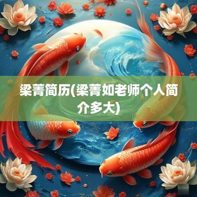 梁菁简历(梁菁如老师个人简介多大)