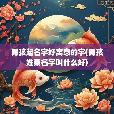 男孩起名字好寓意的字(男孩姓桑名字叫什么好)