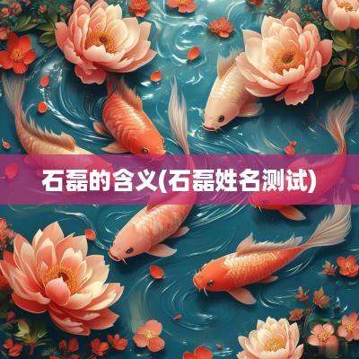 石磊的含义(石磊姓名测试)