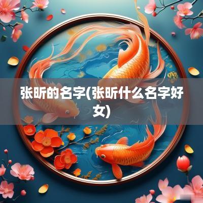 张昕的名字(张昕什么名字好女)