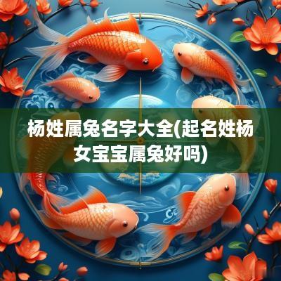 杨姓属兔名字大全(起名姓杨女宝宝属兔好吗)