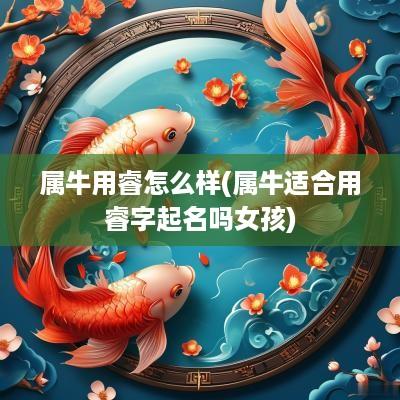 属牛用睿怎么样(属牛适合用睿字起名吗女孩)