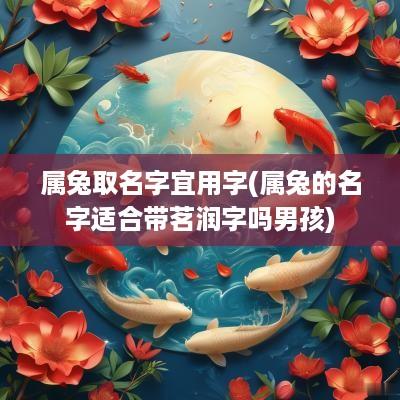 属兔取名字宜用字(属兔的名字适合带茗润字吗男孩)