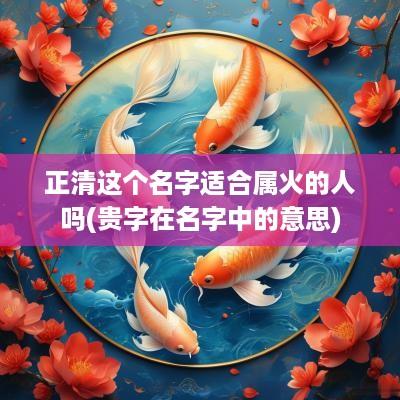 正清这个名字适合属火的人吗(贵字在名字中的意思)