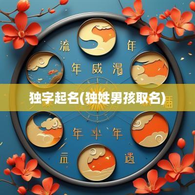 独字起名(独姓男孩取名)