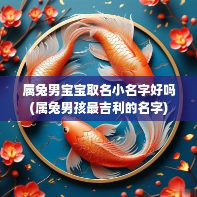 属兔男宝宝取名小名字好吗(属兔男孩最吉利的名字)