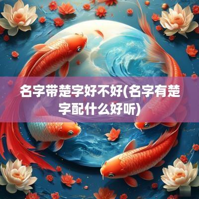 名字带楚字好不好(名字有楚字配什么好听)