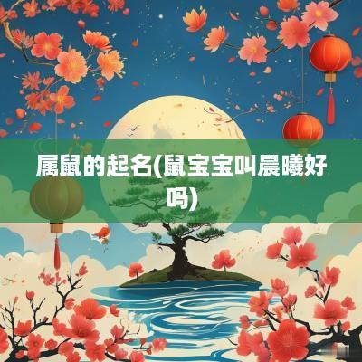 属鼠的起名(鼠宝宝叫晨曦好吗)