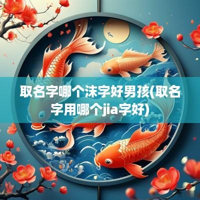取名字哪个沫字好男孩(取名字用哪个jia字好)