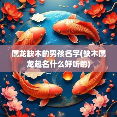 属龙缺木的男孩名字(缺木属龙起名什么好听的)