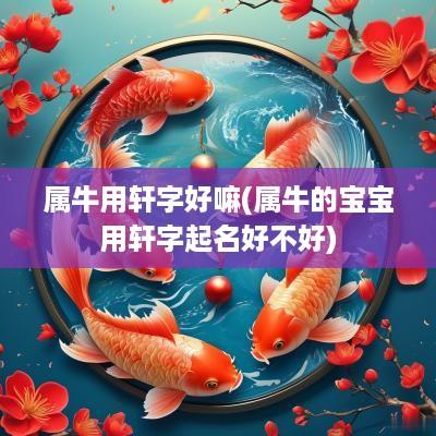 属牛用轩字好嘛(属牛的宝宝用轩字起名好不好)